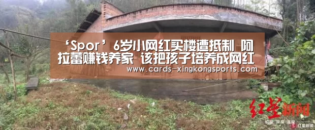 ‘Spor’6岁小网红买楼遭抵制 阿拉蕾赚钱养家 该把孩子培养成网红吗(图4)