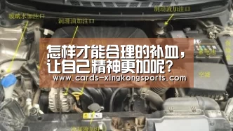 怎样才能合理的补血，让自己精神更加呢?“星空体育”(图1)