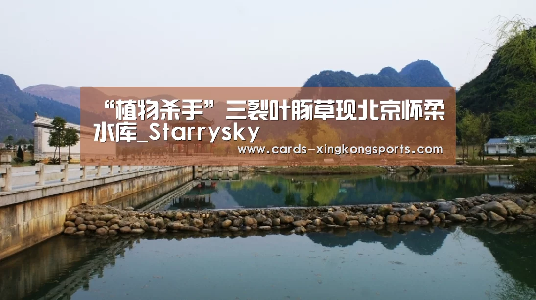 星空体育官网