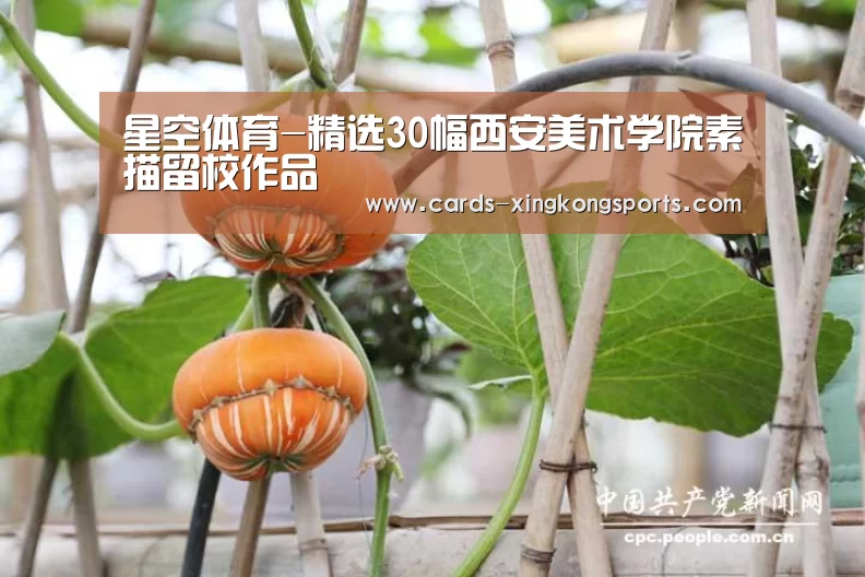 星空体育-精选30幅西安美术学院素描留校作品(图3)