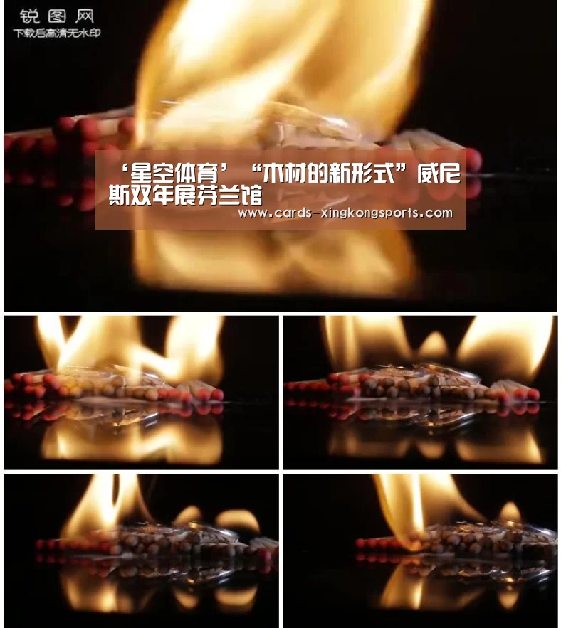 ‘星空体育’“木材的新形式”威尼斯双年展芬兰馆(图3) ‘星空体育’“木材的新形式”威尼斯双年展芬兰馆(图3)