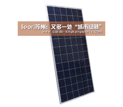 Spor|苏州：又多一处“城市绿肺”(图2)